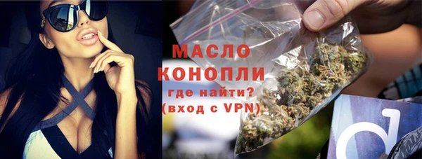 молекула духа Переславль-Залесский