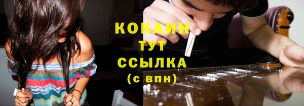 твердый Пересвет