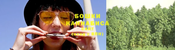 твердый Пересвет