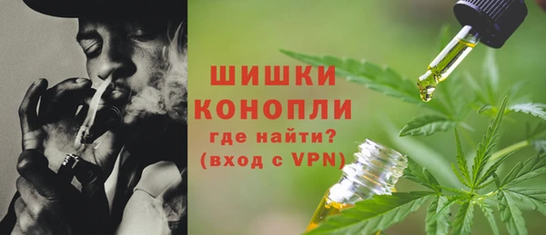 ГАЛЛЮЦИНОГЕННЫЕ ГРИБЫ Пестово