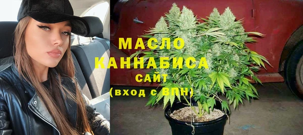 молекула духа Переславль-Залесский