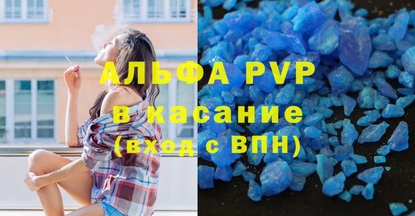 твердый Пересвет
