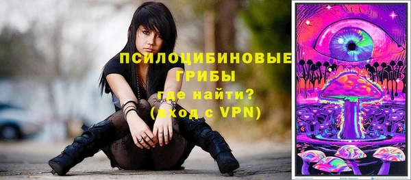 ГАЛЛЮЦИНОГЕННЫЕ ГРИБЫ Пестово