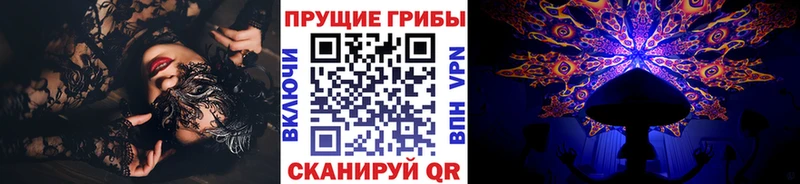 Псилоцибиновые грибы Psilocybe наркошоп Фрязино
