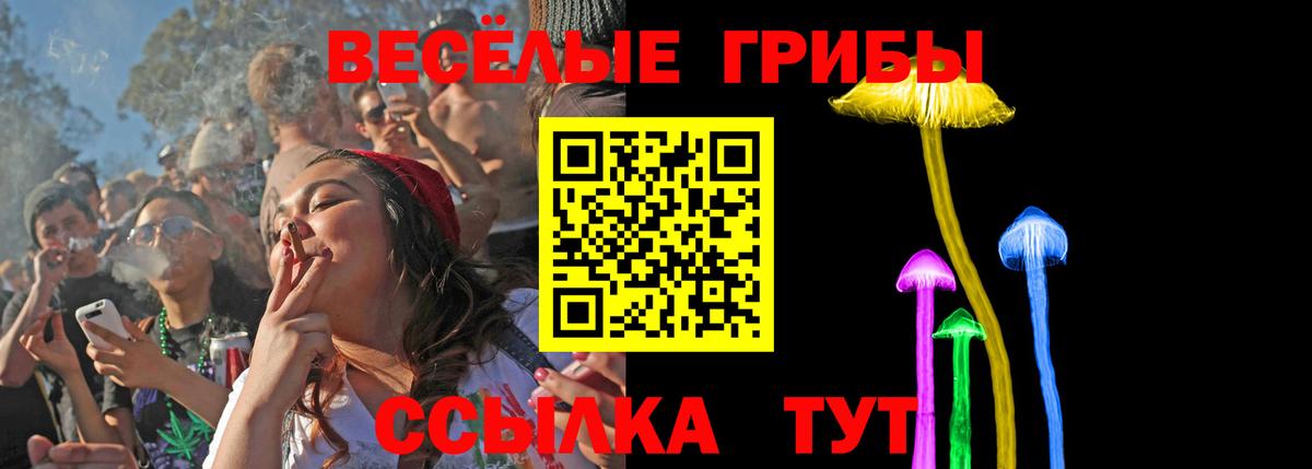 Галлюциногенные грибы MAGIC MUSHROOMS  купить   Фрязино  Вход с VPN 